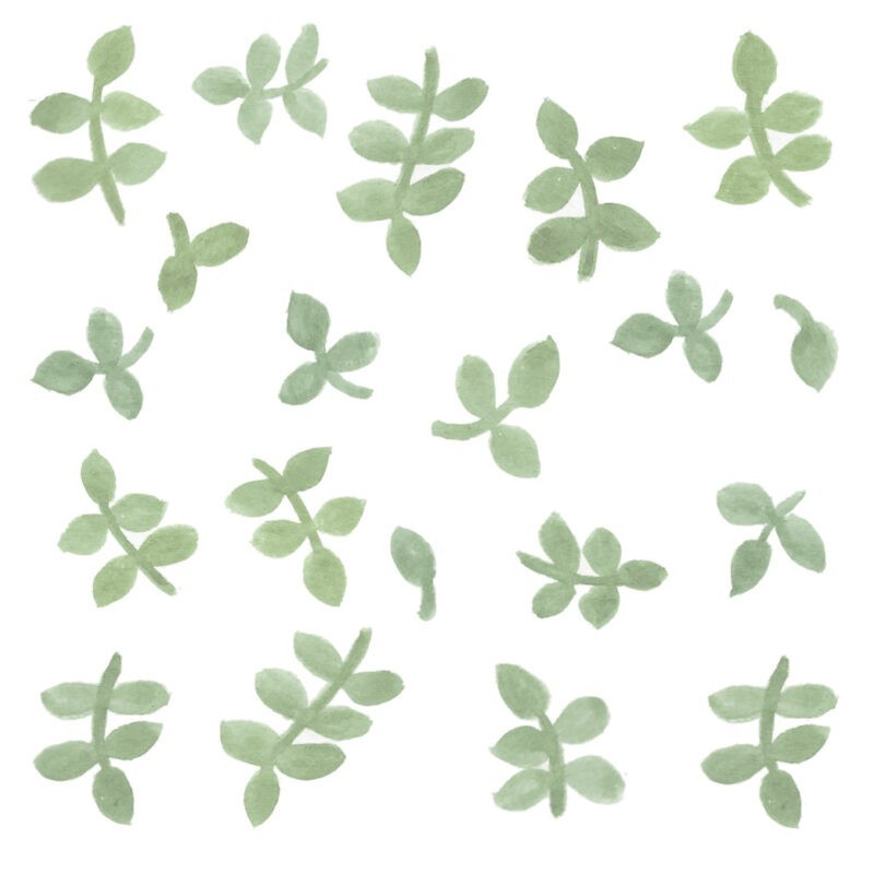 Watercolor leaves sticker- green - Tresxics