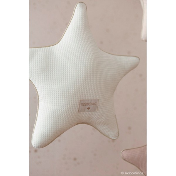 Aristote Star cushion 40x40