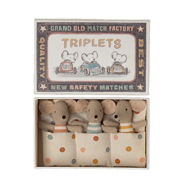 Baby mice triplets in...